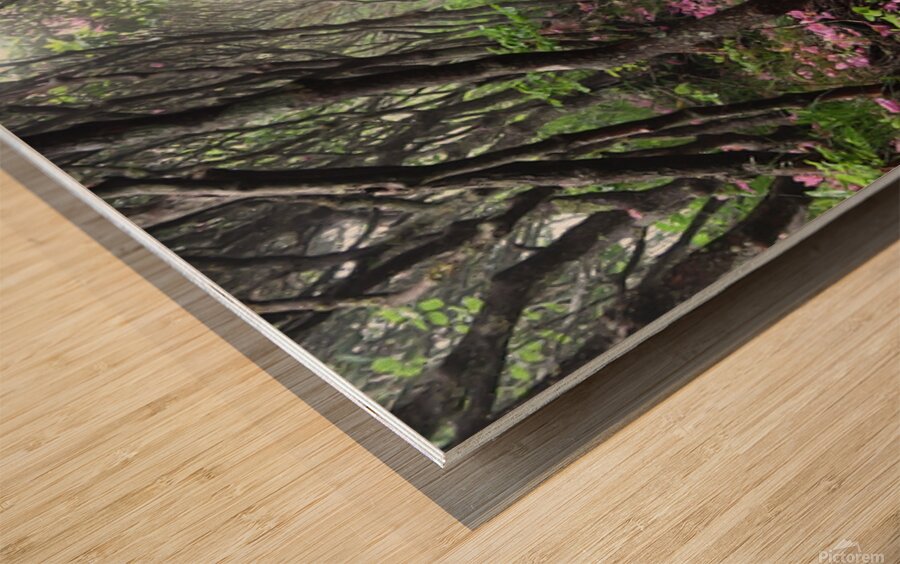 On My Way Home Wood print