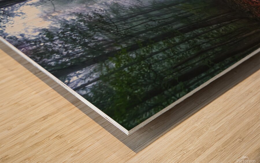 A Road Less Traveled Wood print