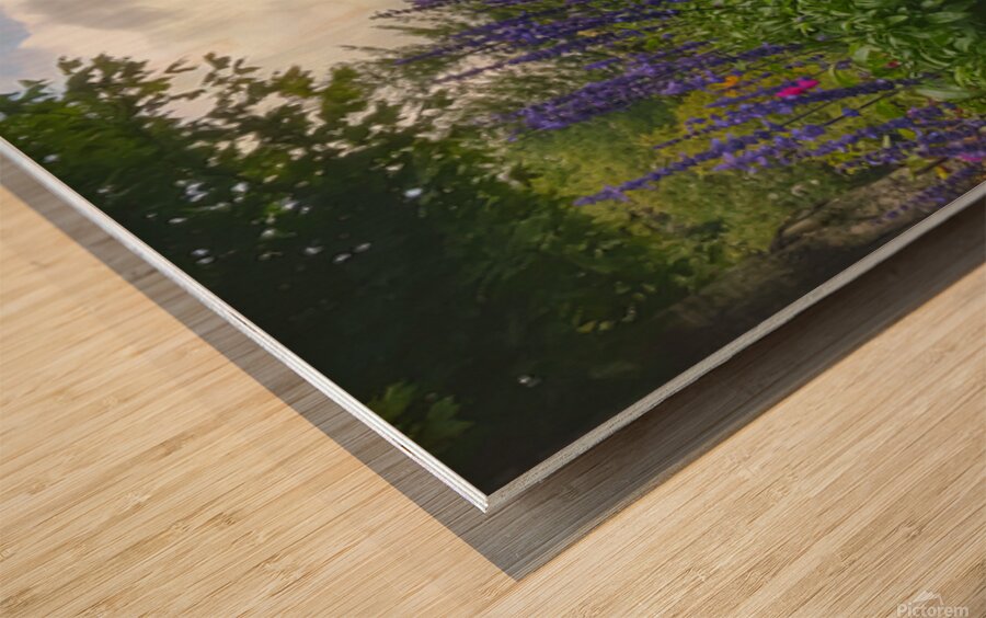 Springtime at Grandfather Mountain  Wood print