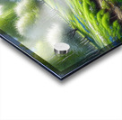 fig4 0035 Abstract Visions Acrylic print