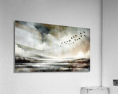 fig4 0056 Abstract Visions Acrylic Print