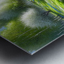 fig4 0035 Abstract Visions Metal print