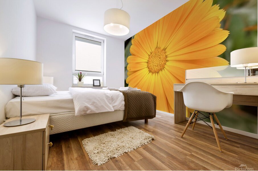 Flower head Mural print