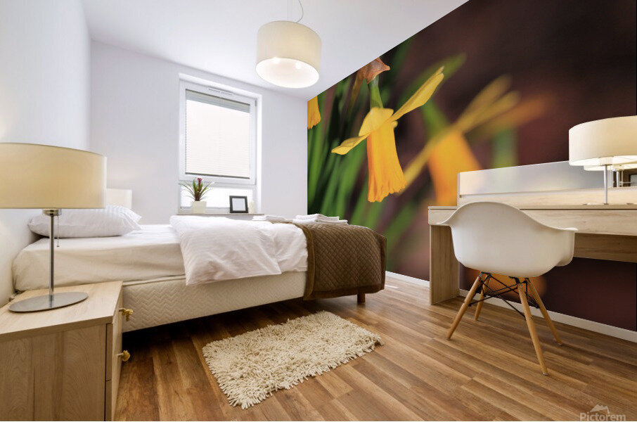 Daffodils Mural print
