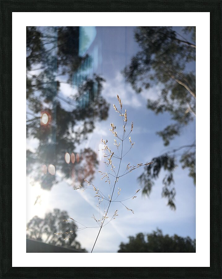 Sunny sky Picture Frame print