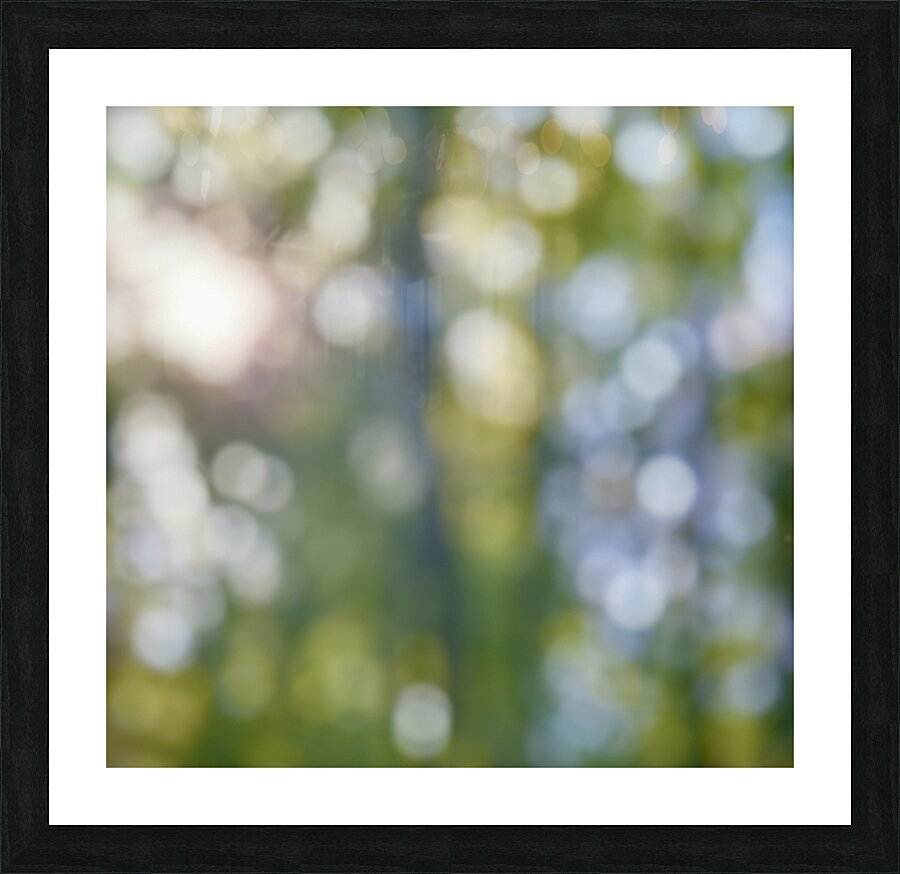 Blurry forest Picture Frame print
