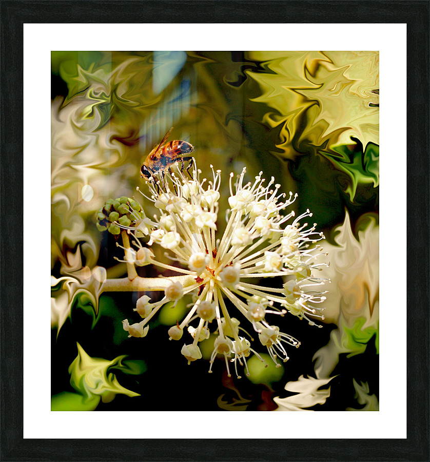 Hard at work Picture Frame print