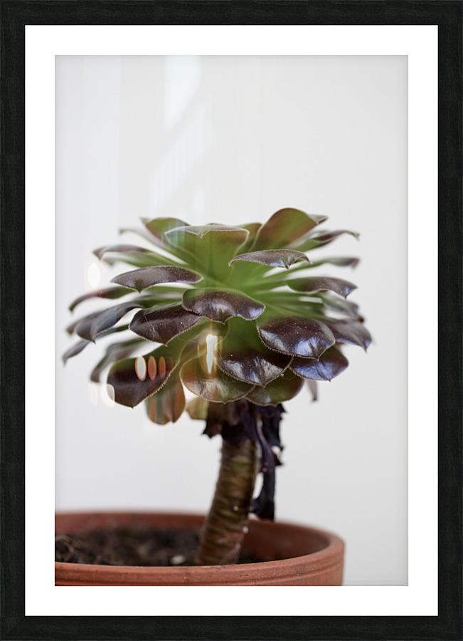 Tiny tree Picture Frame print