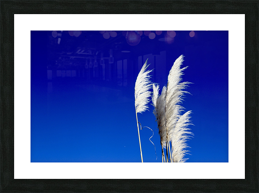 Blue Picture Frame print