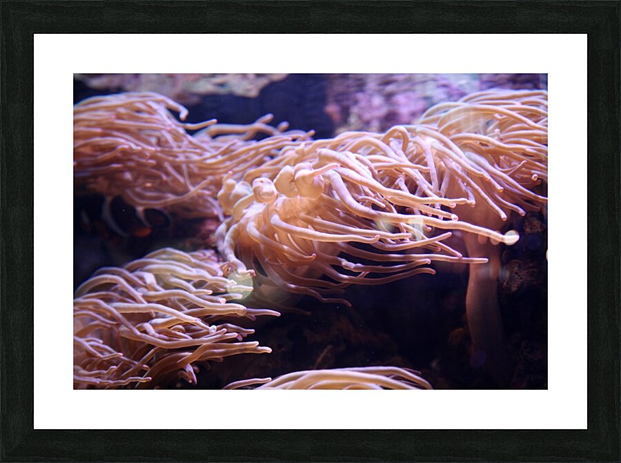 Flows Picture Frame print
