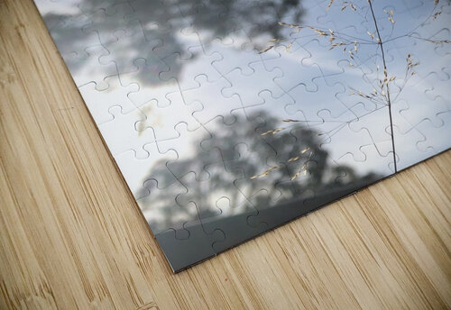 Sunny sky Star 14 puzzle