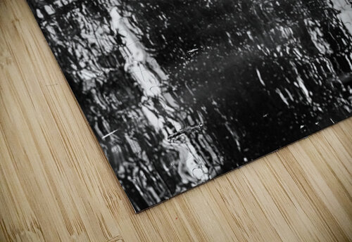 Duck reflections Star 14 puzzle
