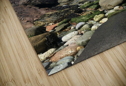 rocky beach Star 14 puzzle