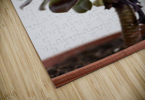Tiny tree Star 14 puzzle