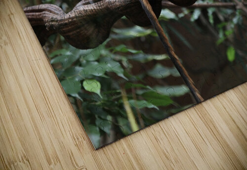 Monkey Star 14 puzzle