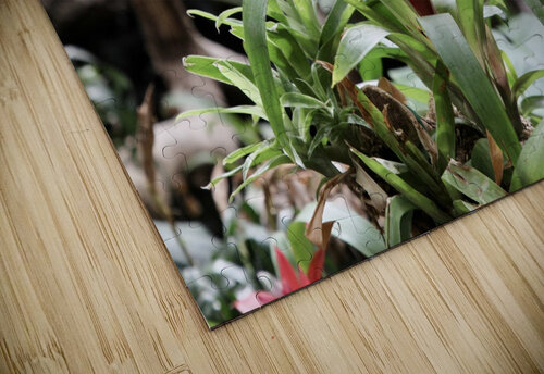 Flowers Star 14 puzzle