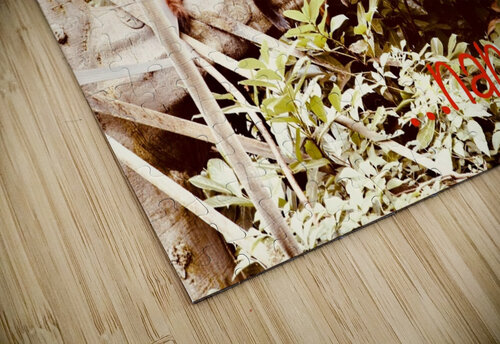 Red panda napping Star 14 puzzle