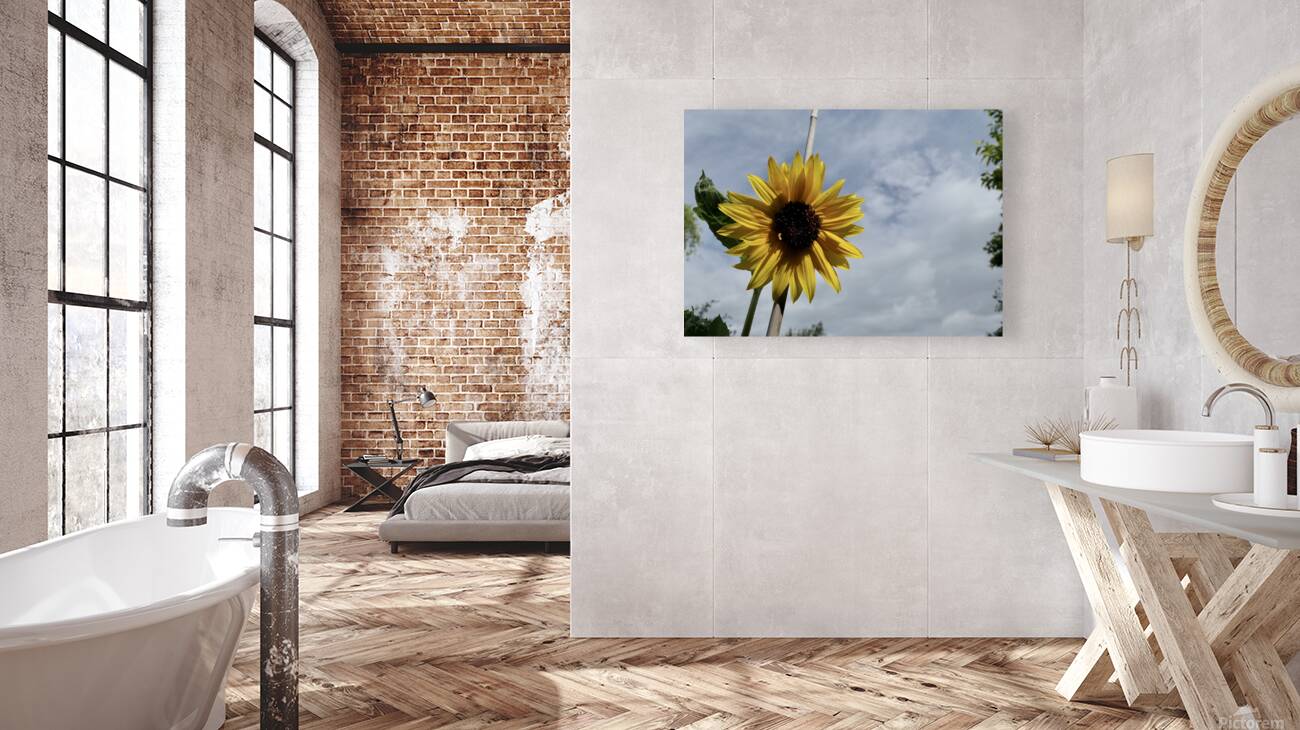 Tall sunflower Reproduction