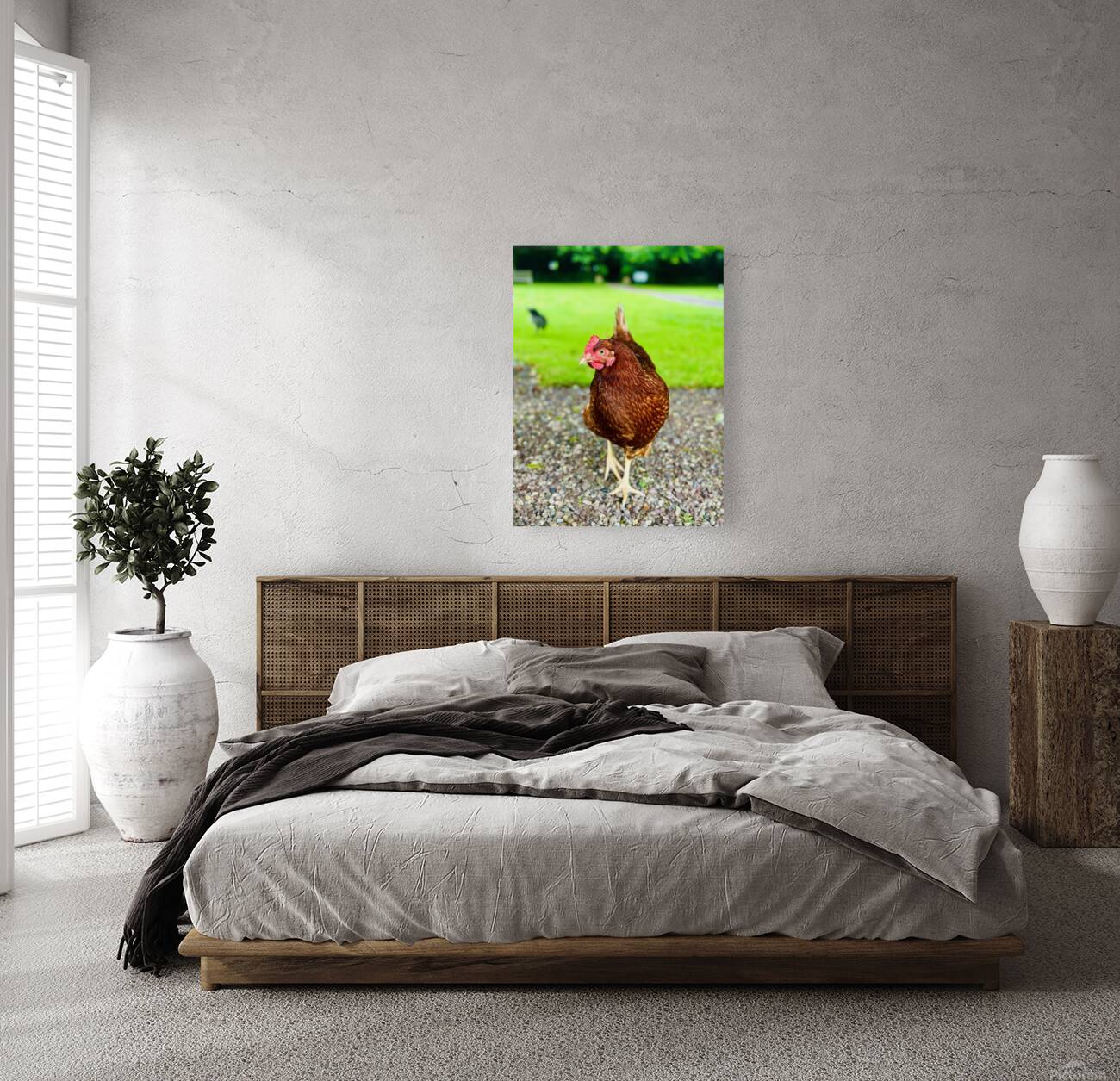 Hen portrait Reproduction