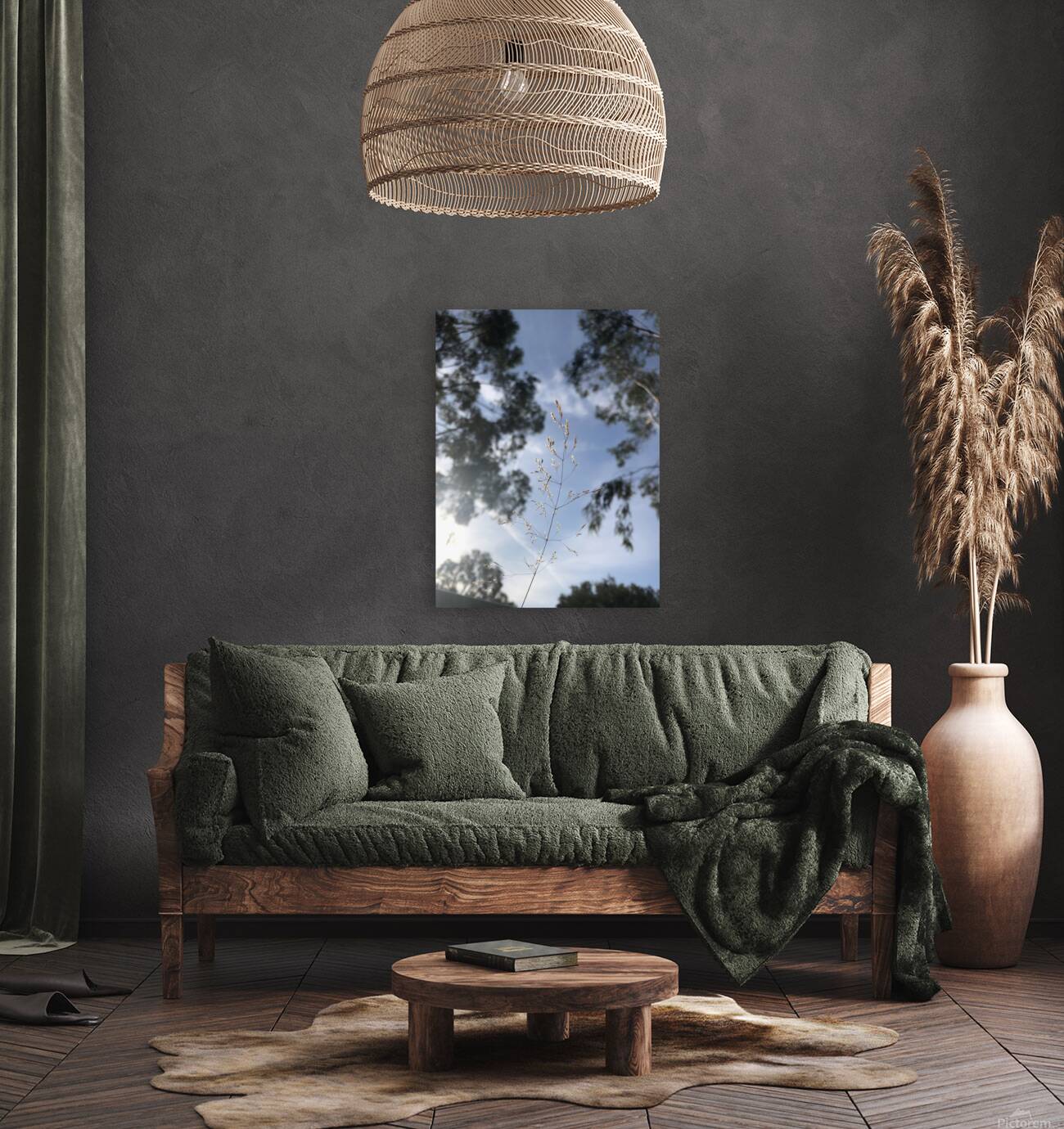 Sunny sky Reproduction