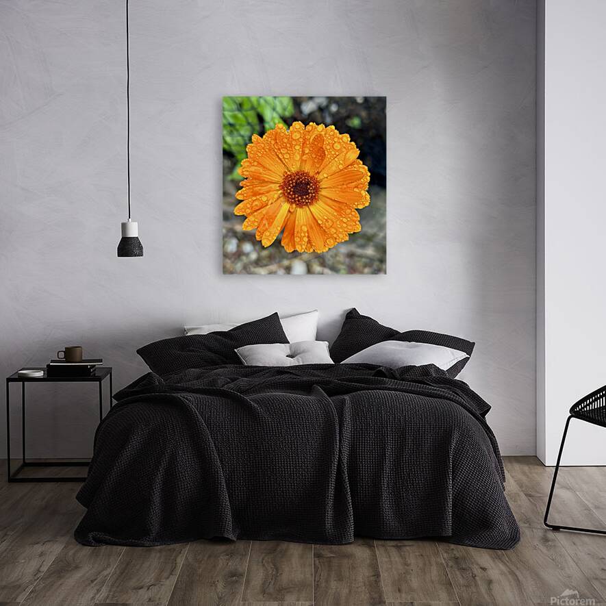 Wet flower head Reproduction