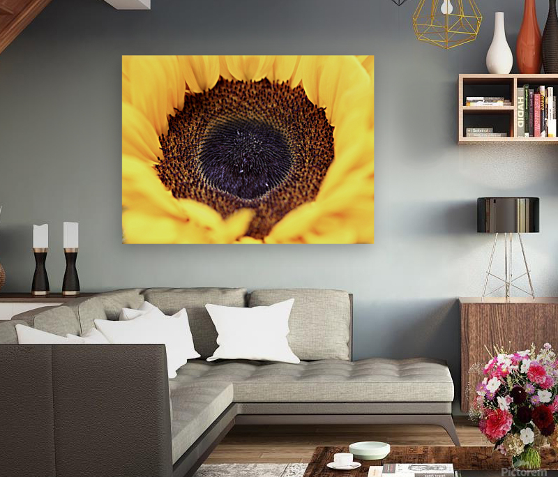 Inside a sunflower Reproduction