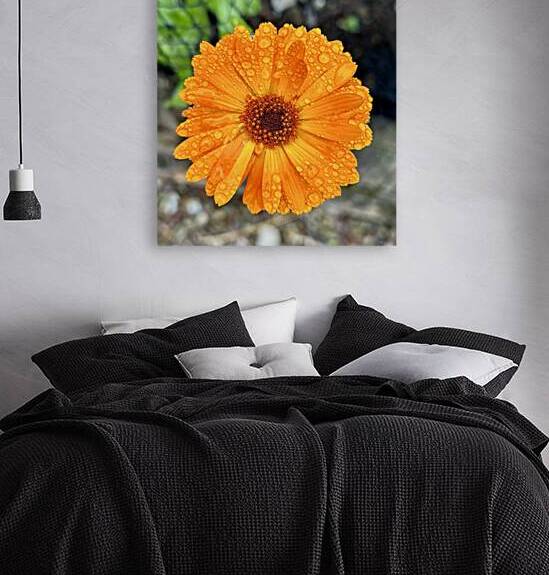 Wet flower head Reproduction