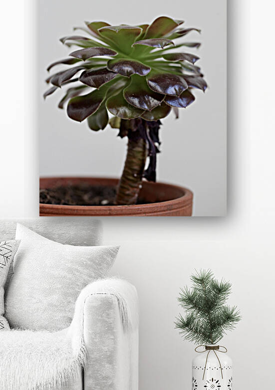 Tiny tree Reproduction