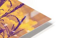 golden corn field HD Metal print