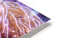 Flows HD Metal print