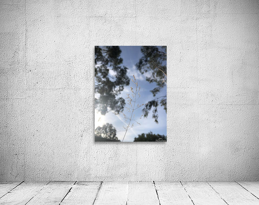 Sunny sky Wall Preview