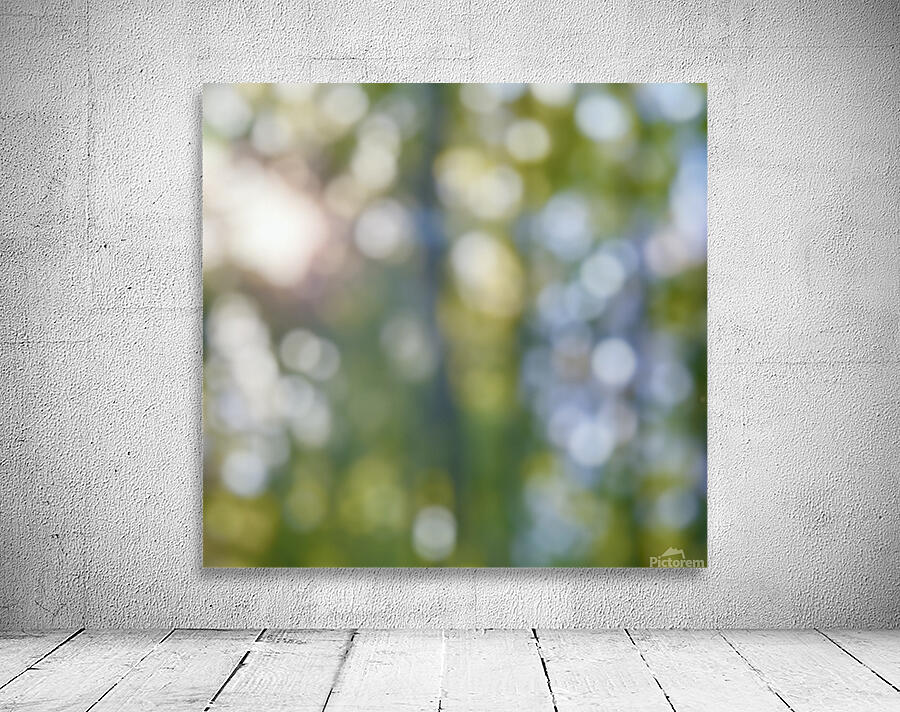 Blurry forest Wall Preview