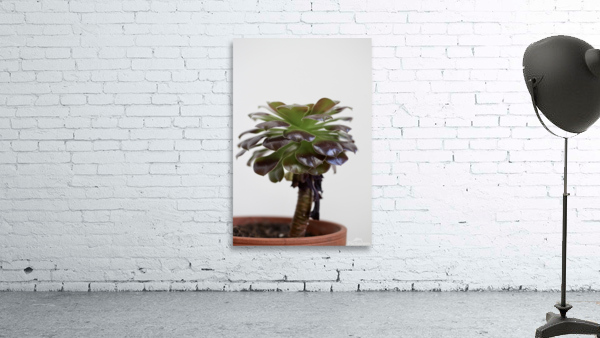 Tiny tree Wall Preview