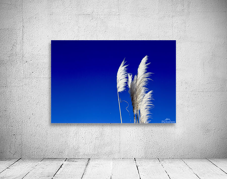 Blue Wall Preview