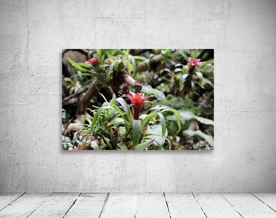 Flowers Wall Preview