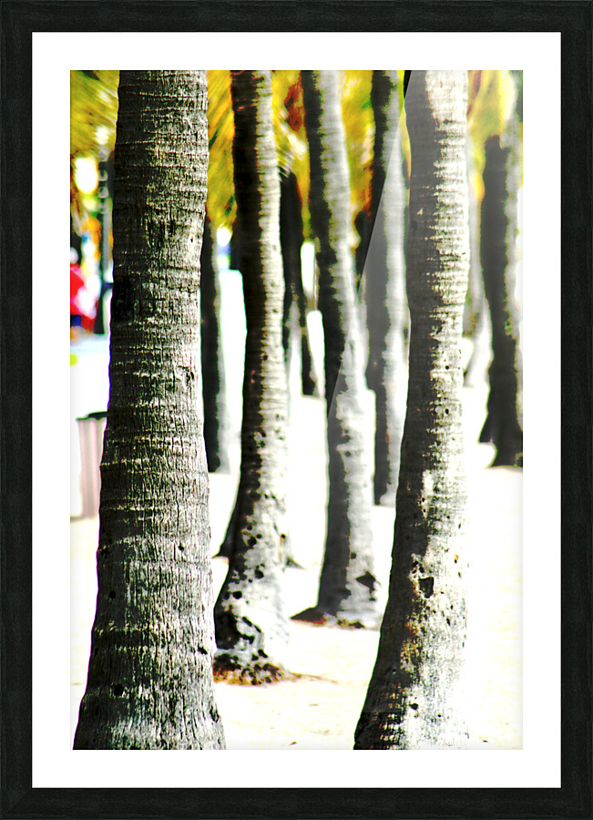 The Palms Picture Frame print