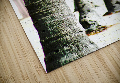 The Palms Frank Polanco puzzle