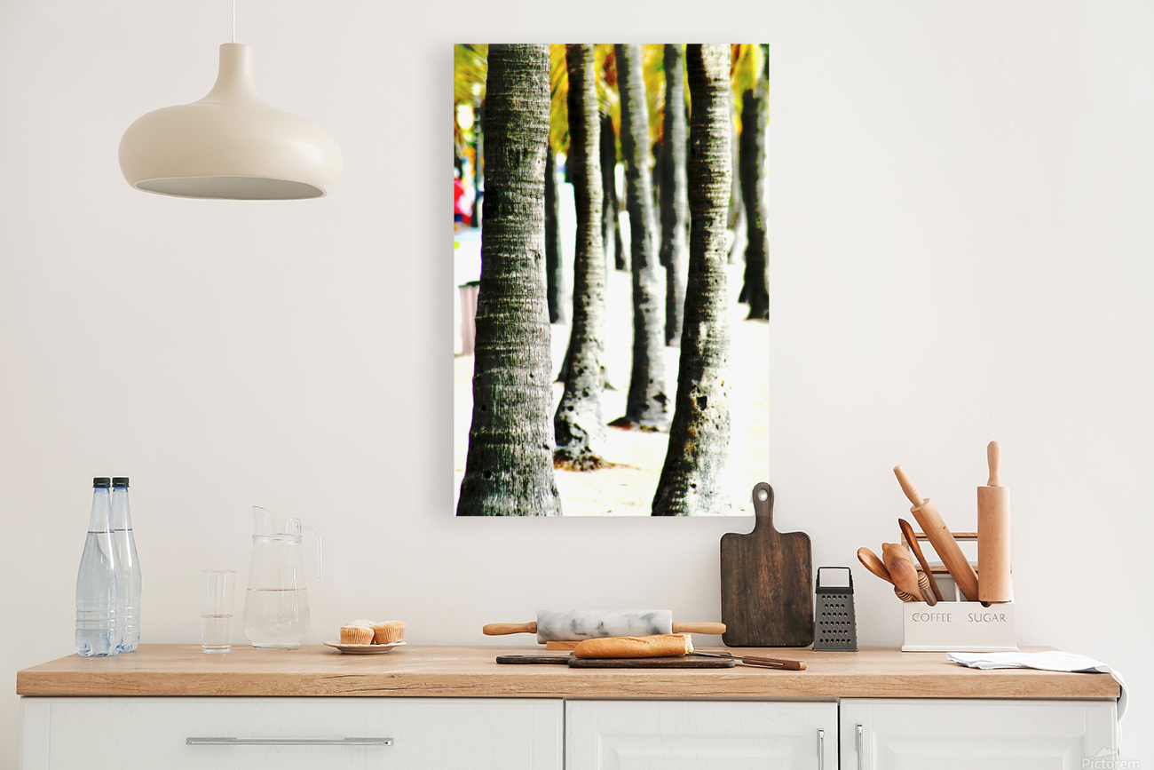 The Palms Reproduction
