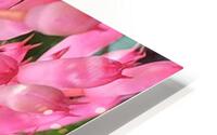 Sparkle HD Metal print