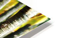 The Palms HD Metal print
