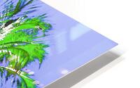 Electric Palm HD Metal print