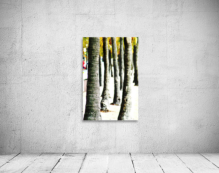 The Palms Wall Preview