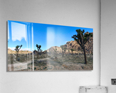 JTNP Acrylic Print
