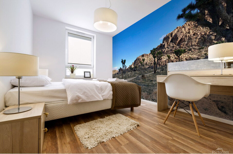 JTNP Mural print