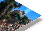 JTNP HD Metal print