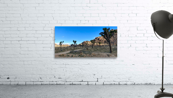 JTNP Wall Preview