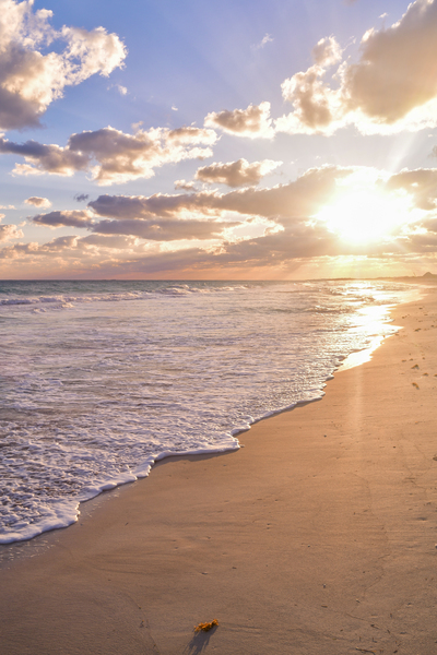 Cuban beach sunrise tiny seaweed Digital Download