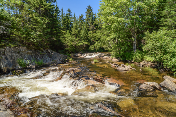 Ledge Falls Nesowadnehunk stream Digital Download