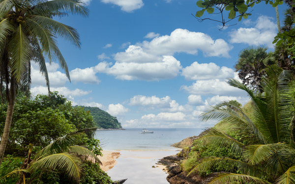 Ya-Nui beach lookout Téléchargement Numérique