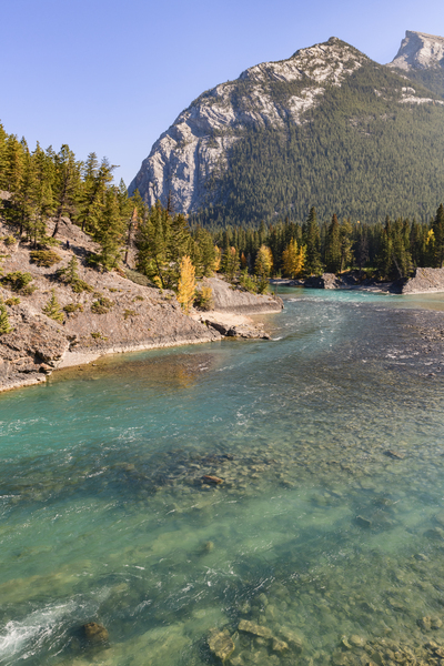 bow river bend 2 2624 Digital Download